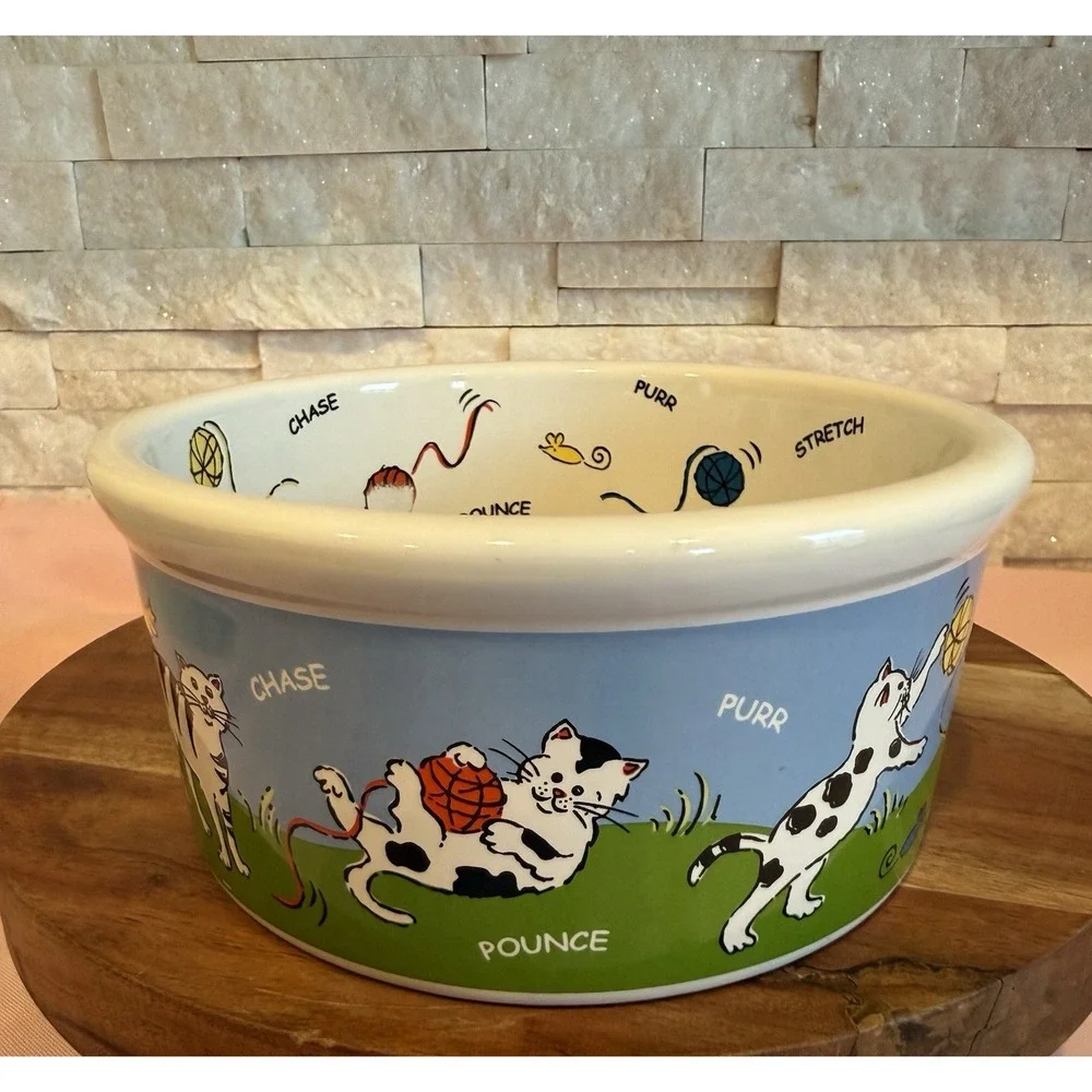Cutie Cat Pet Water Food Bowl by Riviera Van Beers Signature Stoneware Rainbow